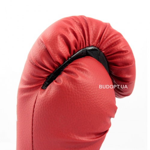 Перчатки боксерские для бокса из кожвинила Boxer 10 унций (bx-0036) фото 11