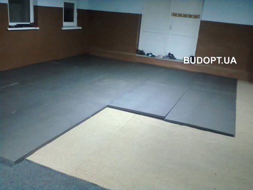 Борцовский спортивный мат ППЕ НХ для борьбы, дзюдо OSPORT 1м х 2м толщина 2см (FI-0002-20) фото 2