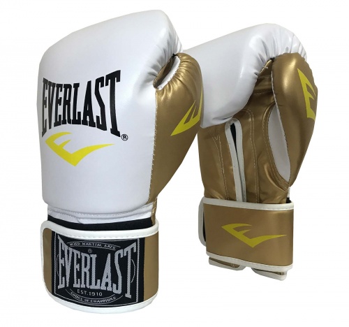 Боксерские перчатки на липучке кожа PU Everlast 10-12 OZ (MS 1951) фото 7