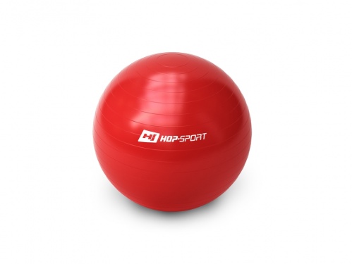 Мяч для фитнеса (фитбол) 55см с насосом Hop-Sport GYM BALL 55 фото 7