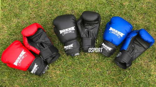 Перчатки боксерские для бокса из кожвинила Boxer 10 унций (bx-0036) фото 5