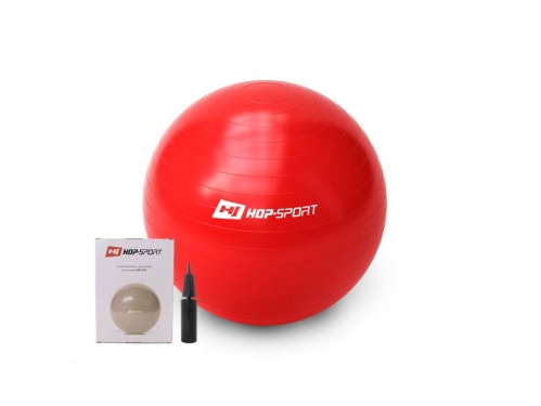 Мяч для фитнеса (фитбол) 65см с насосом Hop-Sport GYM BALL 65 фото 3