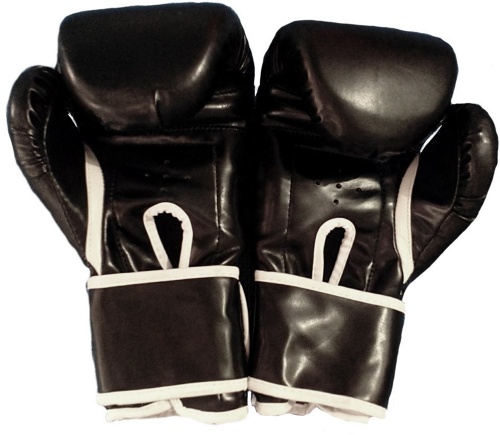 Перчатки боксерские для бокса 8-12 унций на липучке Everlast кожа PU (BO-3987) фото 8