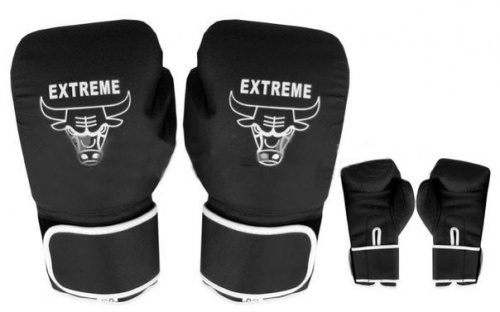 Перчатки боксерские Zel PU EXTREME BO-3987EX фото 2