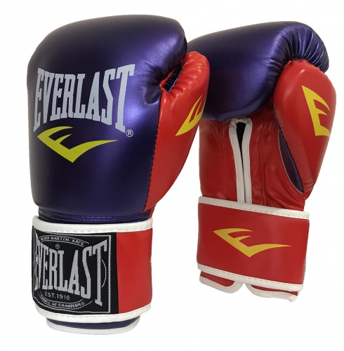 Боксерские перчатки на липучке кожа PU Everlast 10-12 OZ (MS 1951) фото 8