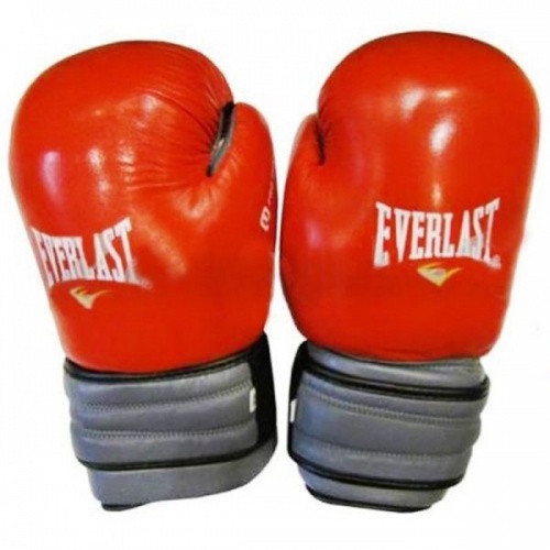 Перчатки боксерские Кожа Everlast MA-4006E фото 2
