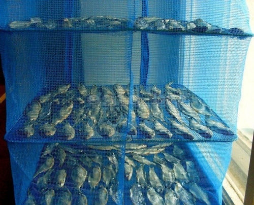 Сетка для сушки рыбы (сушилка для фруктов, овощей) трехъярусная 30х30х60см Stenson (SF23636) фото 2